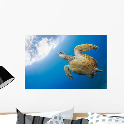 Usa Green Sea Turtle Wall Mural shown on a wall
