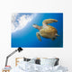 USA, Green Sea Turtle Endangered Species Wall Mural