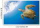USA, Green Sea Turtle Endangered Species Wall Mural