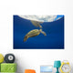 USA, Green Sea Turtle Endangered Species Wall Mural