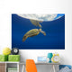 USA, Green Sea Turtle Endangered Species Wall Mural