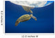 USA, Green Sea Turtle Endangered Species Wall Mural
