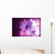 Hawaii, Kauai, White Orchid With Pink Lighting Wall Mural