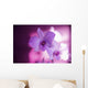 Hawaii, Kauai, White Orchid With Pink Lighting Wall Mural