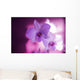 Hawaii, Kauai, White Orchid With Pink Lighting Wall Mural
