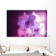 Hawaii, Kauai, White Orchid With Pink Lighting Wall Mural