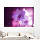 Hawaii, Kauai, White Orchid With Pink Lighting Wall Mural