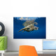 USA, Green Sea Turtle Endangered Species Wall Mural
