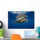 USA, Green Sea Turtle Endangered Species Wall Mural