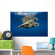 USA, Green Sea Turtle Endangered Species Wall Mural