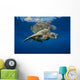 USA, Green Sea Turtle Endangered Species Wall Mural