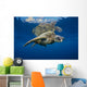 USA, Green Sea Turtle Endangered Species Wall Mural