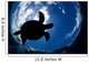 USA, Green Sea Turtle Endangered Species Wall Mural