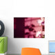 Hawaii, Kauai, White Orchid With Pink Lighting Wall Mural