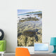 USA, Green Sea Turtle Endangered Species Wall Mural