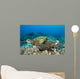 Hawaii, Green Sea Turtles Over Coral Reef Wall Mural