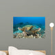Hawaii, Green Sea Turtles Over Coral Reef Wall Mural