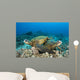 Hawaii, Green Sea Turtles Over Coral Reef Wall Mural