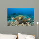 Hawaii, Green Sea Turtles Over Coral Reef Wall Mural