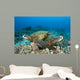 Hawaii, Green Sea Turtles Over Coral Reef Wall Mural