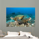 Hawaii, Green Sea Turtles Over Coral Reef Wall Mural
