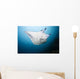 Micronesia, Manta Ray In Beautiful Turquoise Water Wall Mural