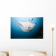 Micronesia, Manta Ray In Beautiful Turquoise Water Wall Mural