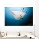 Micronesia, Manta Ray In Beautiful Turquoise Water Wall Mural