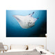 Micronesia, Manta Ray In Beautiful Turquoise Water Wall Mural