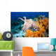 Indonesia, Cuttlefish Wall Mural