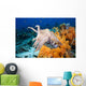 Indonesia, Cuttlefish Wall Mural