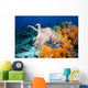 Indonesia, Cuttlefish Wall Mural