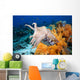 Indonesia, Cuttlefish Wall Mural
