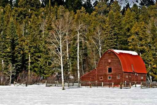 Winter Barn Wall Decal