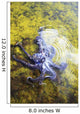 Hawaii, Day Octopus Sitting In Shallow Water Wall Mural