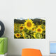 Hawaii, Oahu, North Shore, Sunflower Field Wall Mural