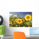 Hawaii, Oahu, North Shore, Sunflower Field Wall Mural