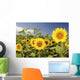 Hawaii, Oahu, North Shore, Sunflower Field Wall Mural