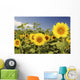 Hawaii, Oahu, North Shore, Sunflower Field Wall Mural