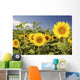 Hawaii, Oahu, North Shore, Sunflower Field Wall Mural