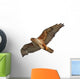 Ferruginous Hawk Isolated Wall Decal