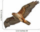Ferruginous Hawk Isolated Wall Decal