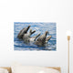 USA, Hawaii Islands, Sea Life Park Wall Mural