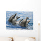 USA, Hawaii Islands, Sea Life Park Wall Mural