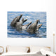 USA, Hawaii Islands, Sea Life Park Wall Mural
