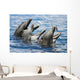 USA, Hawaii Islands, Sea Life Park Wall Mural