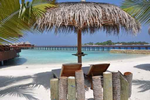 Paradise Wall Decal Design 1
