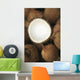 Hawaii, Oahu, A Coconut In Halves, White Meaty Fruit Wall Mural