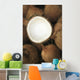 Hawaii, Oahu, A Coconut In Halves, White Meaty Fruit Wall Mural