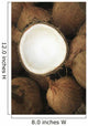 Hawaii, Oahu, A Coconut In Halves, White Meaty Fruit Wall Mural